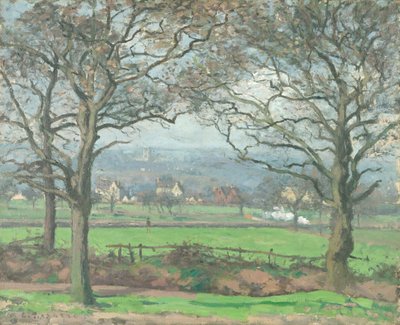 In der Nähe von Sydenham Hill von Camille Jacob Pissarro